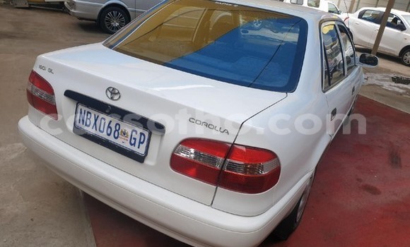 Sayi Na hannu Toyota Corolla White Mota in Maseru a Maseru Sayi Na hannu Toyota Corolla White Mota in Maseru a Maseru