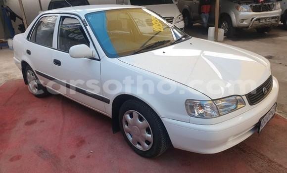 Sayi Na hannu Toyota Corolla White Mota in Maseru a Maseru Sayi Na hannu Toyota Corolla White Mota in Maseru a Maseru