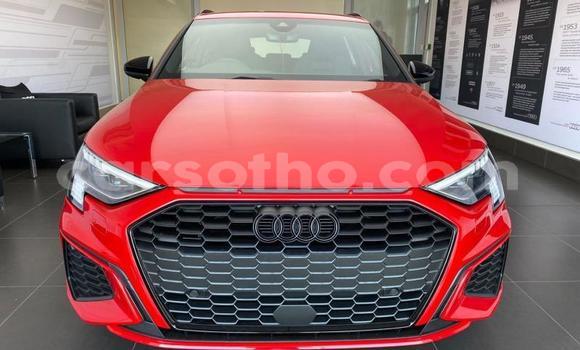 اشتري مستعمل Audi A3 Red سيارة في Maseru في Maseru اشتري مستعمل Audi A3 Red سيارة في Maseru في Maseru