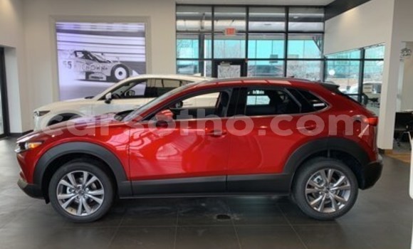 اشتري مستعمل Mazda CX-3 Red سيارة في Maseru في Maseru اشتري مستعمل Mazda CX-3 Red سيارة في Maseru في Maseru