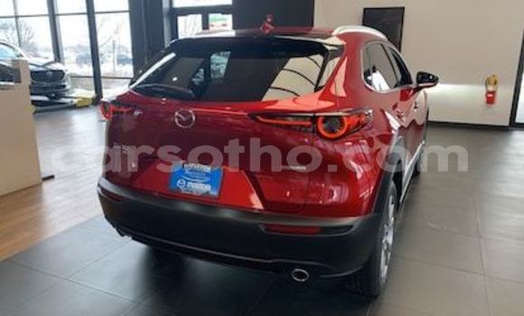 اشتري مستعمل Mazda CX-3 Red سيارة في Maseru في Maseru اشتري مستعمل Mazda CX-3 Red سيارة في Maseru في Maseru
