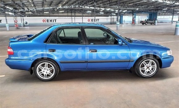 اشتري مستعمل Toyota Corolla Blue سيارة في Maseru في Maseru اشتري مستعمل Toyota Corolla Blue سيارة في Maseru في Maseru