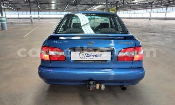 اشتري مستعمل Toyota Corolla Blue سيارة في Maseru في Maseru اشتري مستعمل Toyota Corolla Blue سيارة في Maseru في Maseru