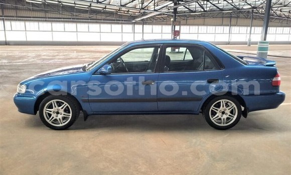 اشتري مستعمل Toyota Corolla Blue سيارة في Maseru في Maseru اشتري مستعمل Toyota Corolla Blue سيارة في Maseru في Maseru