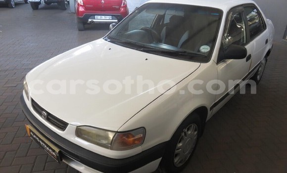 اشتري مستعمل Toyota Corolla White سيارة في Maseru في Maseru اشتري مستعمل Toyota Corolla White سيارة في Maseru في Maseru