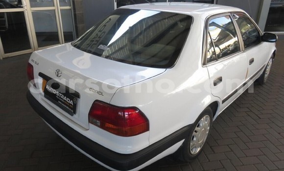 اشتري مستعمل Toyota Corolla White سيارة في Maseru في Maseru اشتري مستعمل Toyota Corolla White سيارة في Maseru في Maseru