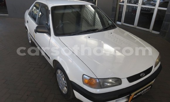 اشتري مستعمل Toyota Corolla White سيارة في Maseru في Maseru اشتري مستعمل Toyota Corolla White سيارة في Maseru في Maseru