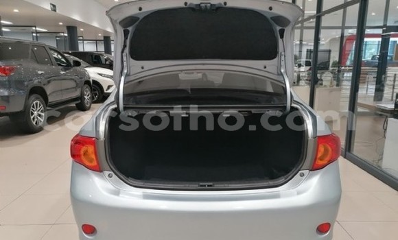 اشتري مستعمل Toyota Corolla Silver سيارة في Maseru في Maseru اشتري مستعمل Toyota Corolla Silver سيارة في Maseru في Maseru