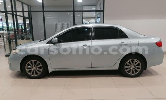 اشتري مستعمل Toyota Corolla Silver سيارة في Maseru في Maseru اشتري مستعمل Toyota Corolla Silver سيارة في Maseru في Maseru
