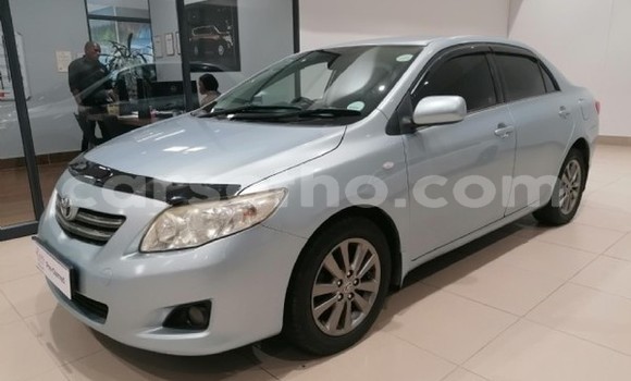 اشتري مستعمل Toyota Corolla Silver سيارة في Maseru في Maseru اشتري مستعمل Toyota Corolla Silver سيارة في Maseru في Maseru