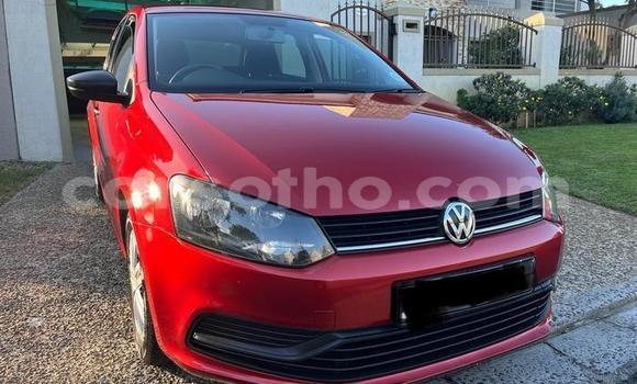 اشتري مستعمل Volkswagen Polo Red سيارة في Maseru في Maseru اشتري مستعمل Volkswagen Polo Red سيارة في Maseru في Maseru