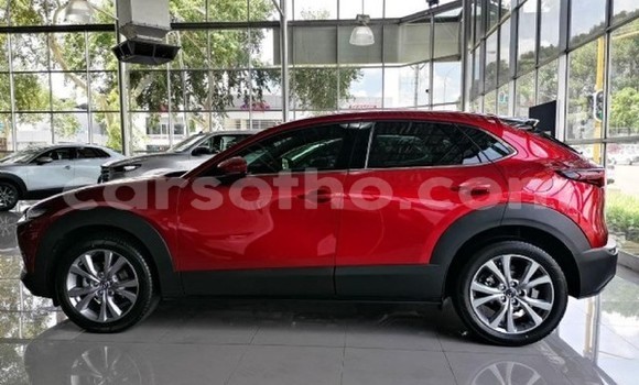 اشتري مستعمل Mazda CX-5 Red سيارة في Maseru في Maseru اشتري مستعمل Mazda CX-5 Red سيارة في Maseru في Maseru