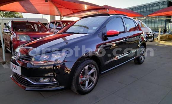 اشتري مستعمل Volkswagen Polo Other سيارة في Maseru في Maseru اشتري مستعمل Volkswagen Polo Other سيارة في Maseru في Maseru