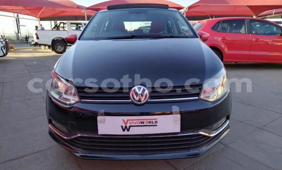 اشتري مستعمل Volkswagen Polo Other سيارة في Maseru في Maseru اشتري مستعمل Volkswagen Polo Other سيارة في Maseru في Maseru