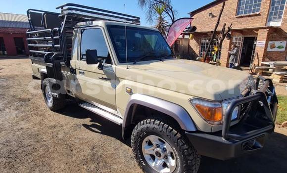 اشتري مستعمل Toyota Land Cruiser Other سيارة في Maseru في Maseru اشتري مستعمل Toyota Land Cruiser Other سيارة في Maseru في Maseru