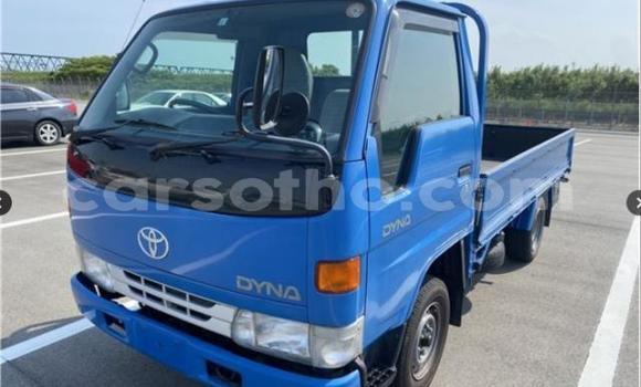 اشتري مستعمل Toyota Dyna Blue شاحنة في Maseru في Maseru اشتري مستعمل Toyota Dyna Blue شاحنة في Maseru في Maseru