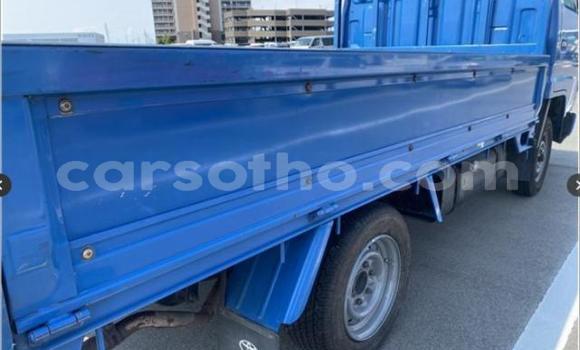 اشتري مستعمل Toyota Dyna Blue شاحنة في Maseru في Maseru اشتري مستعمل Toyota Dyna Blue شاحنة في Maseru في Maseru