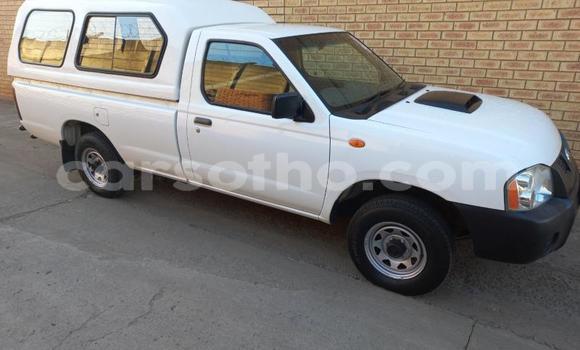Buy Used Nissan Hardbody Other Car in Maseru in Maseru Buy Used Nissan Hardbody Other Car in Maseru in Maseru