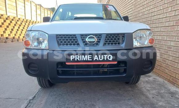Buy Used Nissan Hardbody Other Car in Maseru in Maseru Buy Used Nissan Hardbody Other Car in Maseru in Maseru