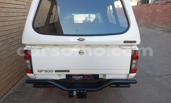 Buy Used Nissan Hardbody Other Car in Maseru in Maseru Buy Used Nissan Hardbody Other Car in Maseru in Maseru