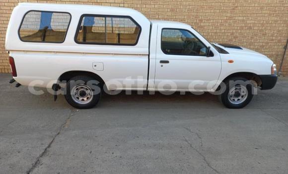 Buy Used Nissan Hardbody Other Car in Maseru in Maseru Buy Used Nissan Hardbody Other Car in Maseru in Maseru