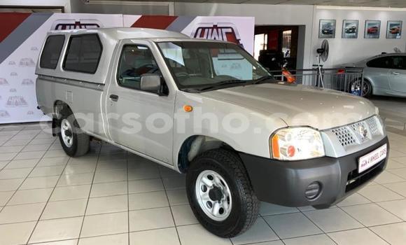 اشتري مستعمل Nissan Hardbody Other سيارة في Maseru في Maseru اشتري مستعمل Nissan Hardbody Other سيارة في Maseru في Maseru