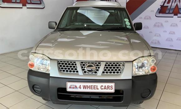 اشتري مستعمل Nissan Hardbody Other سيارة في Maseru في Maseru اشتري مستعمل Nissan Hardbody Other سيارة في Maseru في Maseru