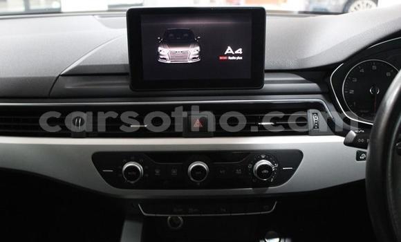 اشتري مستعمل Audi A4 Red سيارة في Butha–Buthe في Thaba-Tseka اشتري مستعمل Audi A4 Red سيارة في Butha–Buthe في Thaba-Tseka