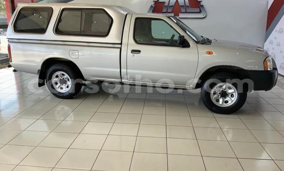 اشتري مستعمل Nissan Hardbody Other سيارة في Maseru في Maseru اشتري مستعمل Nissan Hardbody Other سيارة في Maseru في Maseru