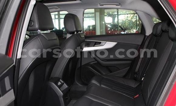 اشتري مستعمل Audi A4 Red سيارة في Butha–Buthe في Thaba-Tseka اشتري مستعمل Audi A4 Red سيارة في Butha–Buthe في Thaba-Tseka