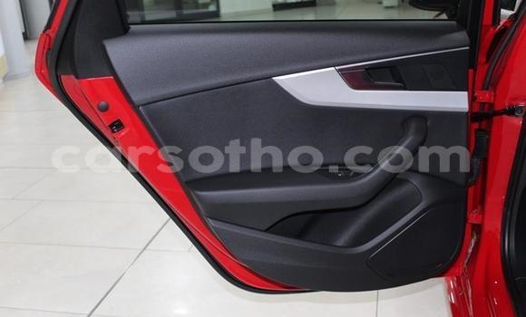 اشتري مستعمل Audi A4 Red سيارة في Butha–Buthe في Thaba-Tseka اشتري مستعمل Audi A4 Red سيارة في Butha–Buthe في Thaba-Tseka