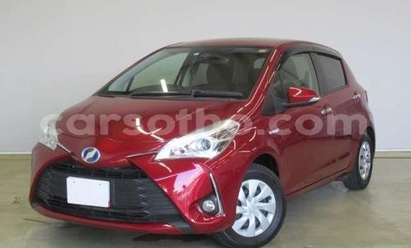 Acheter Occasion Voiture Toyota Vitz Rouge à Hlotse, Leribe Acheter Occasion Voiture Toyota Vitz Rouge à Hlotse, Leribe