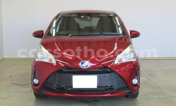 اشتري مستعمل Toyota Vitz Red سيارة في Hlotse في Leribe اشتري مستعمل Toyota Vitz Red سيارة في Hlotse في Leribe