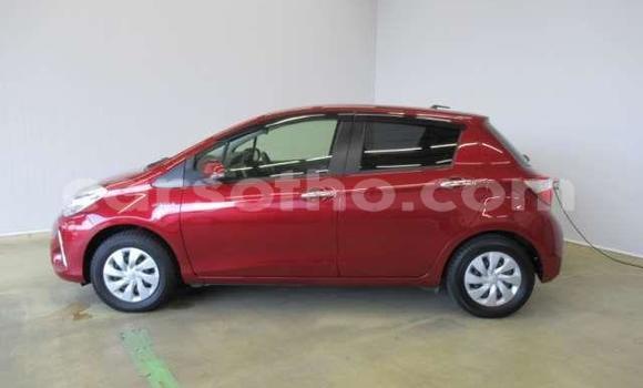 اشتري مستعمل Toyota Vitz Red سيارة في Hlotse في Leribe اشتري مستعمل Toyota Vitz Red سيارة في Hlotse في Leribe