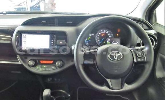 اشتري مستعمل Toyota Vitz Red سيارة في Hlotse في Leribe اشتري مستعمل Toyota Vitz Red سيارة في Hlotse في Leribe