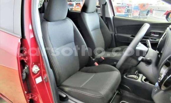 اشتري مستعمل Toyota Vitz Red سيارة في Hlotse في Leribe اشتري مستعمل Toyota Vitz Red سيارة في Hlotse في Leribe