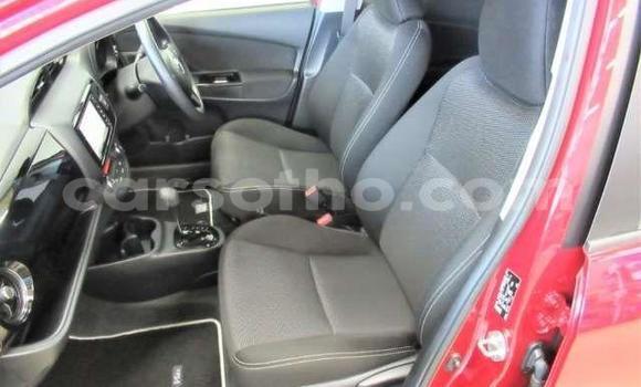 اشتري مستعمل Toyota Vitz Red سيارة في Hlotse في Leribe اشتري مستعمل Toyota Vitz Red سيارة في Hlotse في Leribe
