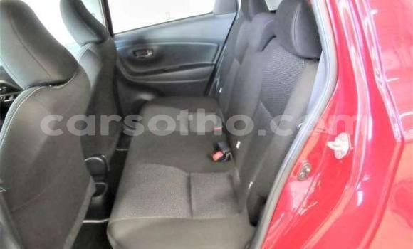 اشتري مستعمل Toyota Vitz Red سيارة في Hlotse في Leribe اشتري مستعمل Toyota Vitz Red سيارة في Hlotse في Leribe