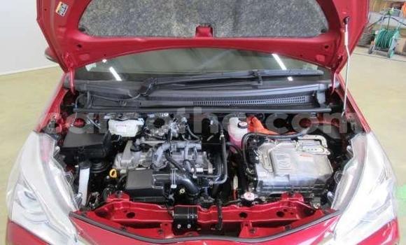 اشتري مستعمل Toyota Vitz Red سيارة في Hlotse في Leribe اشتري مستعمل Toyota Vitz Red سيارة في Hlotse في Leribe
