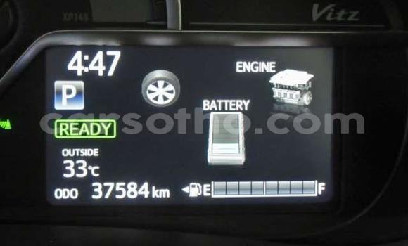 اشتري مستعمل Toyota Vitz Red سيارة في Hlotse في Leribe اشتري مستعمل Toyota Vitz Red سيارة في Hlotse في Leribe