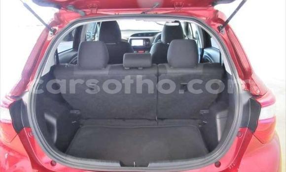اشتري مستعمل Toyota Vitz Red سيارة في Hlotse في Leribe اشتري مستعمل Toyota Vitz Red سيارة في Hlotse في Leribe