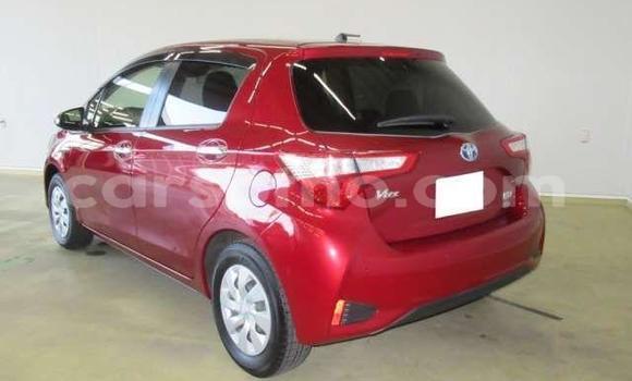 اشتري مستعمل Toyota Vitz Red سيارة في Hlotse في Leribe اشتري مستعمل Toyota Vitz Red سيارة في Hlotse في Leribe