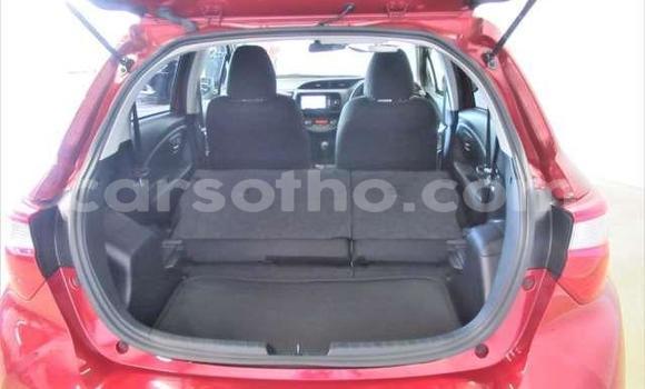 اشتري مستعمل Toyota Vitz Red سيارة في Hlotse في Leribe اشتري مستعمل Toyota Vitz Red سيارة في Hlotse في Leribe