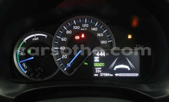 اشتري مستعمل Toyota Vitz Red سيارة في Hlotse في Leribe اشتري مستعمل Toyota Vitz Red سيارة في Hlotse في Leribe