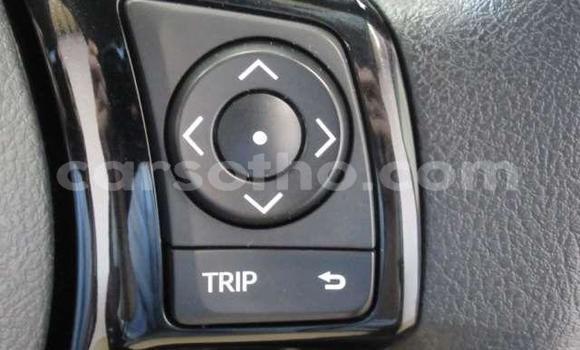 اشتري مستعمل Toyota Vitz Red سيارة في Hlotse في Leribe اشتري مستعمل Toyota Vitz Red سيارة في Hlotse في Leribe