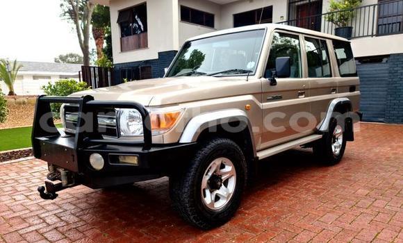 Buy Used Toyota Land Cruiser Other Car in Maseru in Maseru
