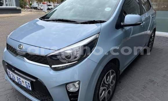 اشتري مستعمل Kia Picanto Beige سيارة في Maseru في Maseru