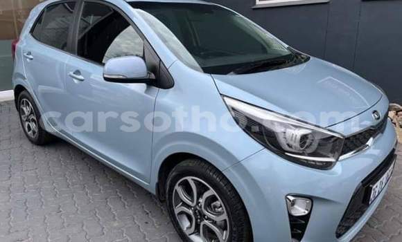 Sayi Na hannu Kia Picanto Beige Mota in Maseru a Maseru Sayi Na hannu Kia Picanto Beige Mota in Maseru a Maseru