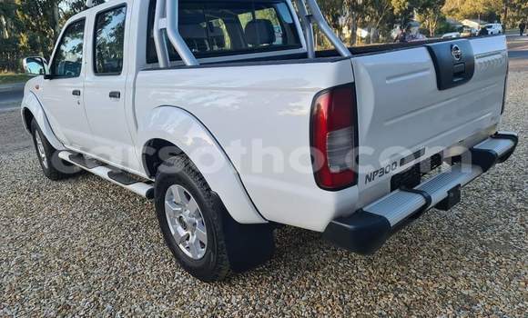 Sayi Na hannu Nissan NP 300 White Mota in Qacha's Nek a Quthing Sayi Na hannu Nissan NP 300 White Mota in Qacha's Nek a Quthing