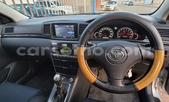 Sayi Na hannu Toyota Runx Silver Mota in Hlotse a Leribe Sayi Na hannu Toyota Runx Silver Mota in Hlotse a Leribe